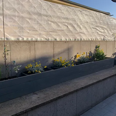 La Terrazza Διαμέρισμα Σαν Τζοβάνι Βαλντάρνο