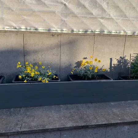 Διαμέρισμα La Terrazza Σαν Τζοβάνι Βαλντάρνο